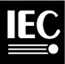 Iec Logo